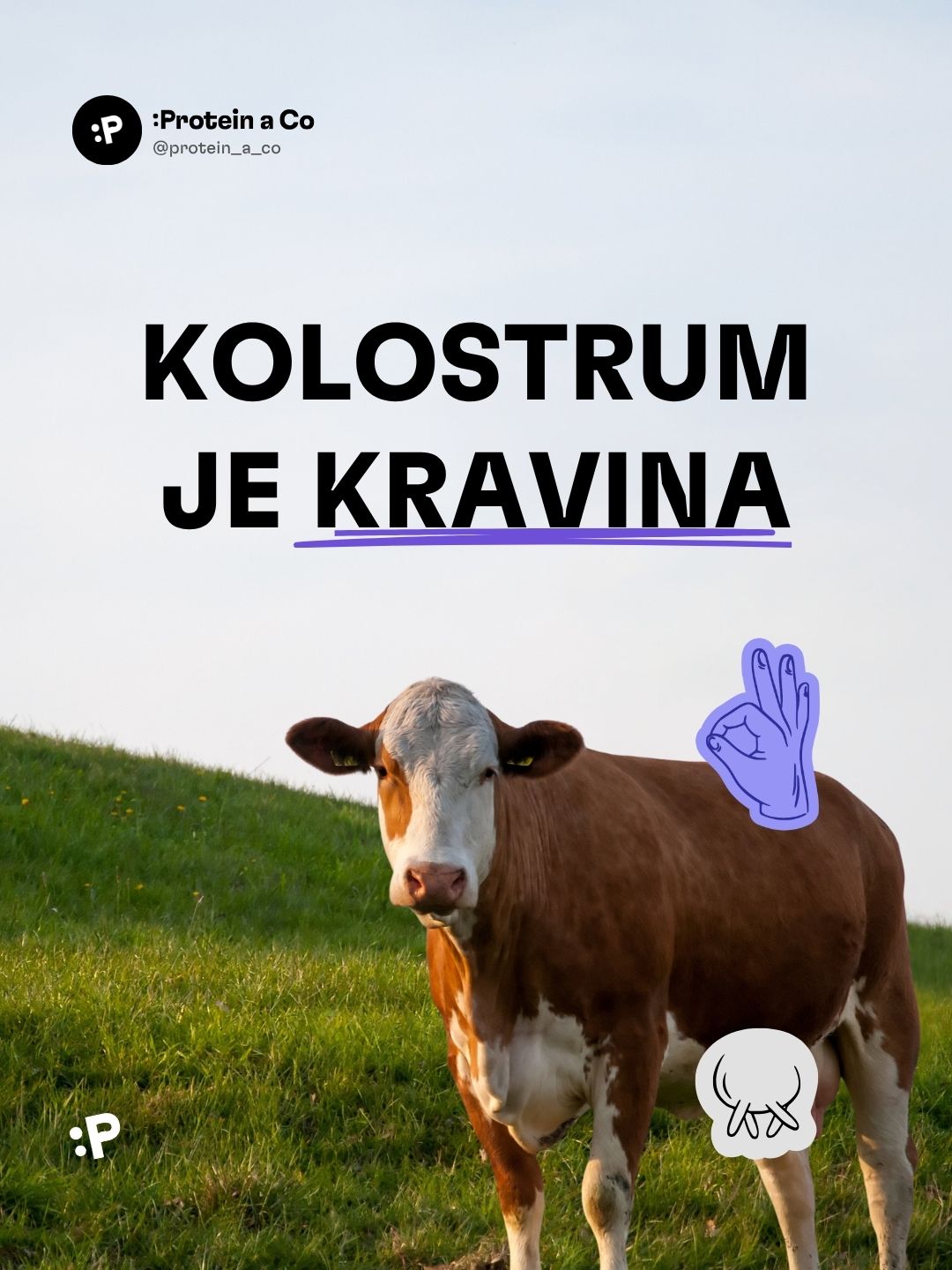 Colostrum-1-clanek-vyziva-proteinaco